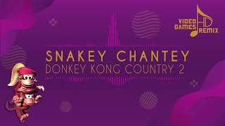 DKC 2  Snakey Chantey HD Remix [upl. by Cramer201]