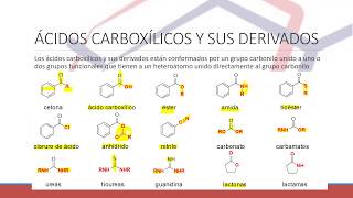 REACTIVIDAD BÁSICA DE ACIDOS CARBOXILICOS Y SUS DERIVADOS [upl. by Aicitan]