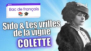 Bac de français  quotSidoquot et quotLes Vrilles des vignesquot de Colette  Lumni [upl. by Pepita]