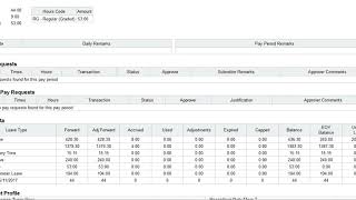 Employee Timesheet and Timesheet Summary [upl. by Ignatz770]