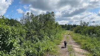 Exploring the Camden East Alvar in Summer  Napanee Plain Natural Area [upl. by Arteid]