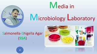 SSA Salmonella Shigella Agar [upl. by Tichon296]