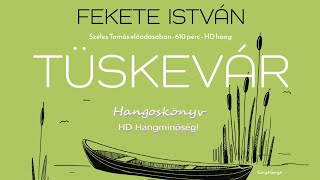 Fekete István Tüskevár Hangoskönyv  HD hangminőség  Felolvassa Széles Tamás [upl. by Burbank583]