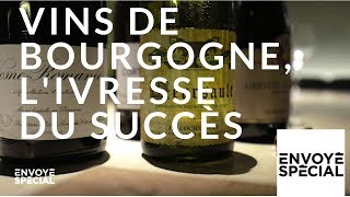 Envoyé spécial Vins de Bourgogne livresse du succès  18 octobre 2018 France 2 [upl. by Egide]