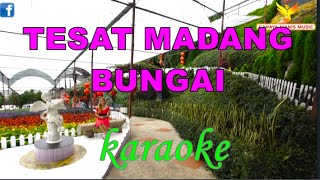 TESAT MADANG BUNGAI KARAOKE Sima [upl. by Abbotsen]