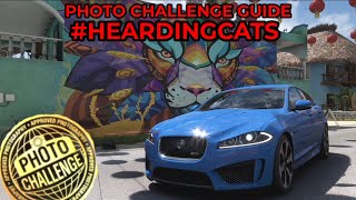 Forza Horizon 5  Photo Challenge Guide  HEARDINGCATS  Ruedas Lion Mural in Playa Azul [upl. by Fabe]