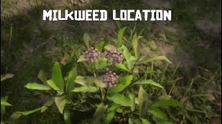 RDR2 Milkweed location Bluewater Marsh [upl. by Idham65]