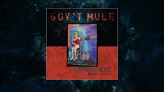 Govt Mule  Hiding Place Visualizer Video [upl. by Monafo]