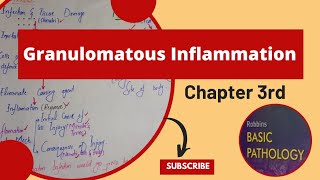 Granulomatous Inflamationchronic inflammationRobbins Pathology Lecturespathology robbins mbbs [upl. by Llyrpa340]