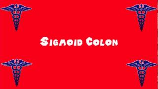 Pronounce Medical Words ― Sigmoid Colon [upl. by Dawaj238]