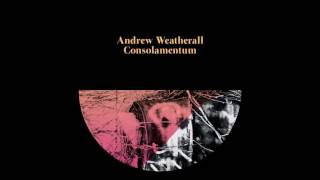 Andrew Weatherall  Frankfurt Advice Red Axes Remix [upl. by Attinahs]