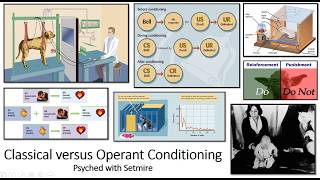 Classical vs Operant Conditioning Key Differences  Psyched with Setmire [upl. by Ynots358]