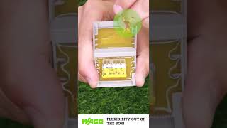 WAGO Gelbox Flexibility out of the box [upl. by Anoet3]