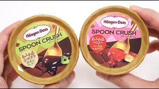 Spoon Crush HaagenDazs New Series Ice Cream with Magic Spin Mug [upl. by Jos]