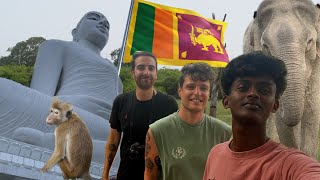 🌴 Sri Lanka SELVAGGIO 🌴🐘🐒🇱🇰  Sri Lanka Ep 2 [upl. by Pyszka]