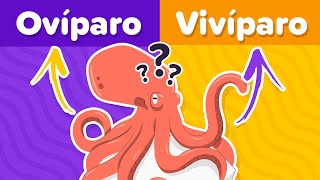 ¿Cuanto sabes de Zoología  Animales Vivíparos y Ovíparos🥚🐬🤔  Trivia de cultura general  Quiz [upl. by Eileme277]