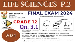 2024 FINAL EXAM LIFE SCIENCES GRADE 12 PAPER 2 MAY JUNE 2024 THUNDEREDUC MSAIDI QN 31 [upl. by Nosilla]