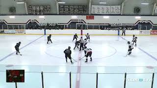 Silverstick RR game 4 vs STRATHROY [upl. by Zelda]