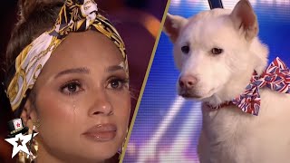 Dog Magic Act Makes Judges CRY on Britains Got Talent [upl. by Kameko652]