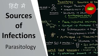 Sources of infections in Hindi  Host  Parasite  Parasitology in Hindi  Basic Science Series [upl. by Donal]