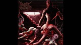 Necrotic Disgorgement  Suffocated in Shrinkwrap Full Album [upl. by Bristow]