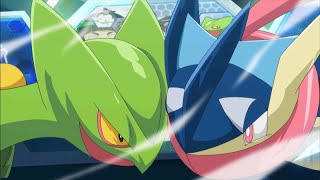 Ash vs Sawyer Full Battle AMV  Greninja vs Sceptile [upl. by Esirehc528]