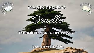 GRAZIA DELEDDA Ornello da IL CEDRO DEL LIBANO [upl. by Becker]