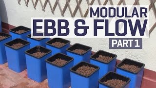 How to set up an Ebb and Flow  Flood and Drain Hydroponics Growing System  PART 1 of 6 [upl. by Elie]