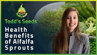 Health Benefits of Alfalfa Sprouts [upl. by Caneghem]