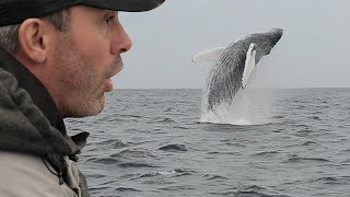 JE PÊCHE UN MASTODONTE DES MERS   Cyril Chauquet [upl. by Coralyn334]