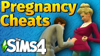 How to Cheat a Pregnancy in The Sims 4 [upl. by At]