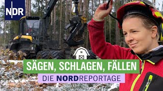 Sägen Schlagen Fällen  Mit großen Maschinen durch die Holzernte  Die Nordreportage  NDR [upl. by Yrffoeg]