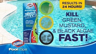 Kill and Prevent Unsightly Green Mustard and Black Algae Clorox® PoolampSpa™ [upl. by Ellerrehs]