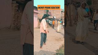 Money PRANK Reaction shorts funnyvideos pets funnyvideo [upl. by Oned]