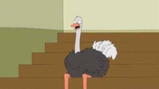 Family Guy  Ostrich Laugh [upl. by Faulkner]