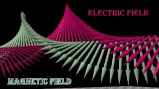 Polarization of Light circularly polarized linearly polarized unpolarized light [upl. by Philps436]