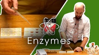 Enzymes  GCSE Science Required Practical [upl. by Buote]