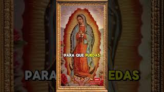 La VIRGEN de GUADALUPE te Abraza  virgenmaria dios frases fyp [upl. by Allevon384]