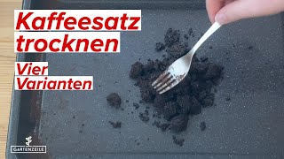 Kaffeesatz richtig trocknen ☕ Diese 4 Möglichkeiten hast du Aus Kaffee Dünger herstellen [upl. by Alta]