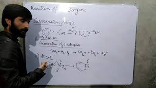 Sulphonation of Benzene with mechanism Organic Chemistry [upl. by Eenrahc437]