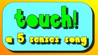 Touch A Five Senses Song [upl. by Coats]