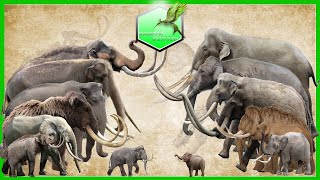 Elephants and Mammoths Size Comparison LİVİNG EXTİNCT [upl. by Adnilym]