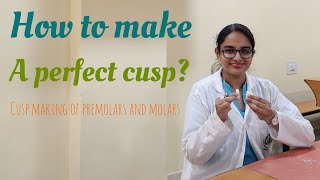 How to make a cusp of premolars and molars  Kalinga institute of dental sciences BDS first year [upl. by Ingaborg]