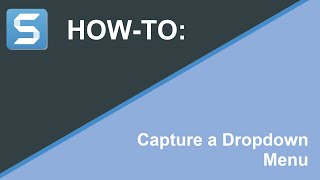 How to Capture a Dropdown Menu with Snagit [upl. by Eerahs]