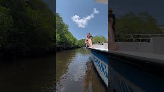 Lembongan Indonesia Mangrove forests❤️ [upl. by Adelaida]