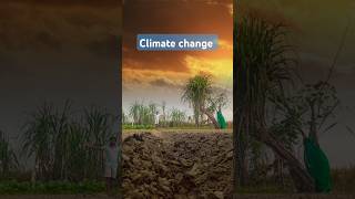 climate change ।।👍।। viralvideo viralshorts video music travel beach love comedy [upl. by Nepean]