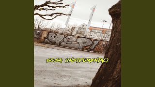 Sosa Intrumental [upl. by Gass]