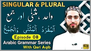 ADDAD  Singular amp Plural  Arabic Grammar Series  Ep 08  Qari Aqib [upl. by Reivilo]