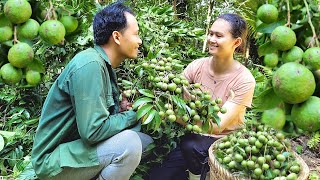 The first time I rowed a tall tree and collected many fruits [upl. by Udenihc]