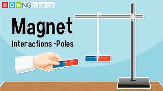 Magnet Interactions – Poles [upl. by Griffie260]